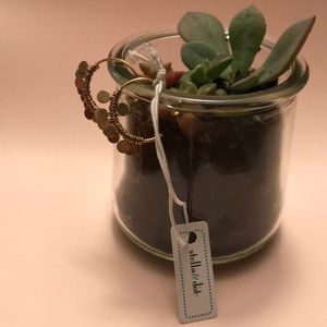 Stella + Dot! Fringe Hoop Earrings